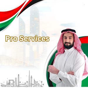 pro services